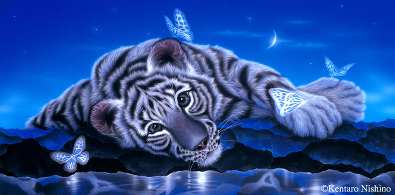 http://kentaronishino.com/A-white-baby-tiger3-d.jpg